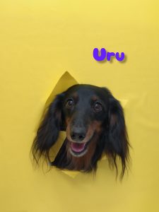 InShot_20260425_233155089_copy_2686x3582