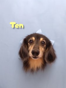 InShot_20260425_234338836_copy_3072x4096