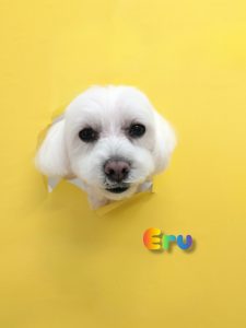 InShot_20260427_225127020_copy_2900x3867