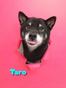 InShot_20260427_230914902_copy_2774x3699