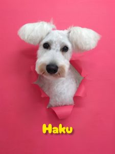 InShot_20260427_232427407_copy_2693x3591