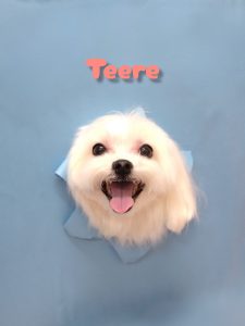 InShot_20260427_233435970_copy_2855x3806