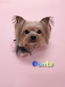 InShot_20260427_234008566_copy_2912x3883