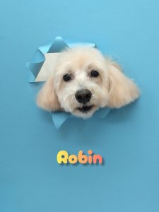 InShot_20260428_225510024_copy_2762x3683