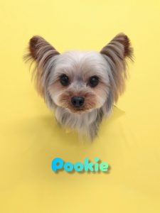 InShot_20260428_230944093_copy_2749x3665