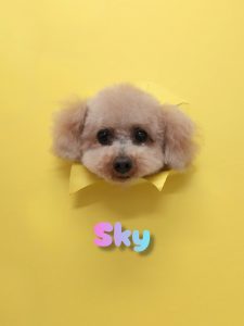 InShot_20260430_221030453_copy_3072x4096