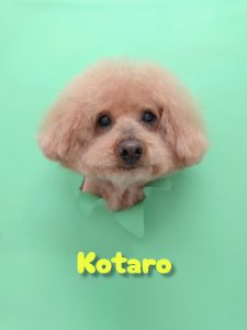 InShot_20260430_230736789_copy_3072x4096