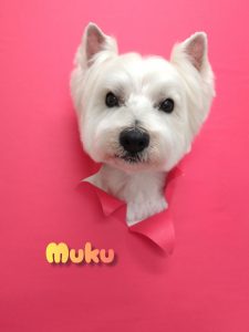 InShot_20260430_231919968_copy_2670x3560