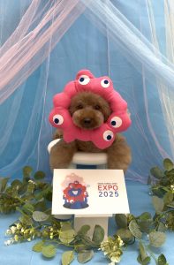Peachy_20250801141508960