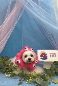 Peachy_20250819194656438