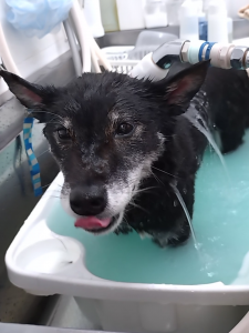 Screenshot_20251031-224443_copy_1144x1525_1