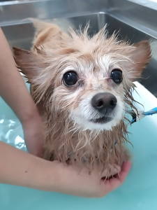 Screenshot_20251101-230643_copy_1080x1440