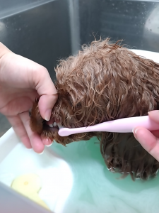 Screenshot_20251107-215912_copy_1130x1506