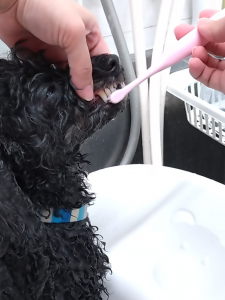 Screenshot_20251107-220325_copy_1288x1718