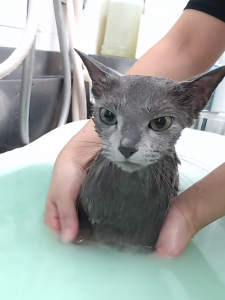 Screenshot_20251108-213652_copy_1227x1636