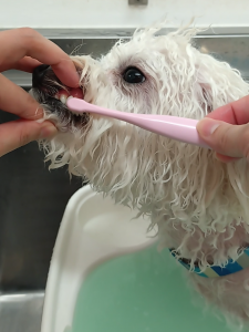 Screenshot_20251110-225836_copy_1138x1518