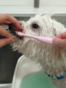 Screenshot_20251110-225836_copy_1150x1534