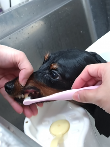 Screenshot_20251110-230409_copy_1183x1577