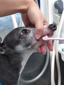 Screenshot_20251115-233546_copy_1134x1512