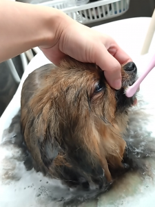 Screenshot_20251115-234628_copy_1117x1489