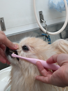 Screenshot_20251118-230111_copy_1111x1482_1