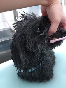 Screenshot_20251121-232050_copy_1140x1521_1