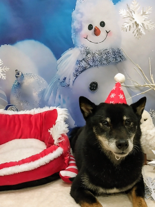 Screenshot_20251209-233541~2_copy_1002x1336