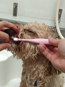 Screenshot_20260109-223951_copy_1131x1508