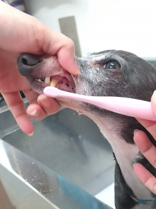 Screenshot_20260110-234342_copy_1176x1568