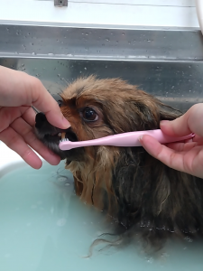 Screenshot_20260113-231943_copy_1180x1574