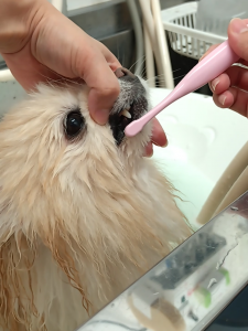 Screenshot_20260113-232153_copy_1229x1639