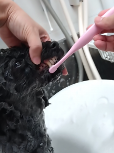 Screenshot_20260114-000713_copy_1302x1736