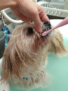 Screenshot_20260116-232156_copy_1027x1369