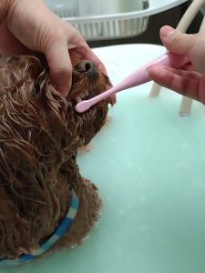 Screenshot_20260120-223931_copy_1166x1555