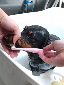 Screenshot_20260123-223705_copy_1210x1613