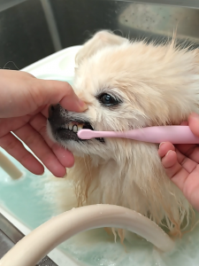 Screenshot_20260212-221117_copy_1117x1489