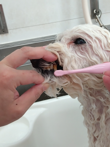 Screenshot_20260221-214850_copy_1197x1596