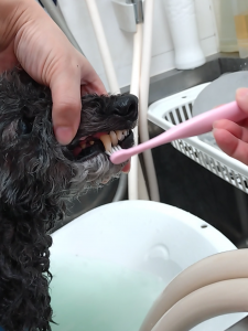 Screenshot_20260227-214542_copy_1157x1542_1