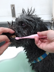 Screenshot_20260302-220735_copy_1204x1606