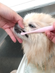 Screenshot_20260309-175019_copy_1150x1534