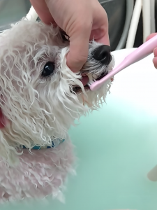 Screenshot_20260309-220455_copy_1198x1597