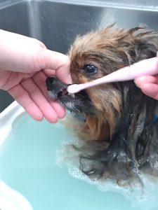 Screenshot_20260318-050802_copy_1153x1538