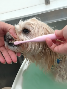 Screenshot_20260318-051613_copy_1159x1545