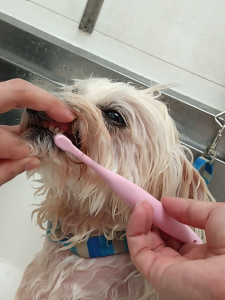 Screenshot_20260326-221624_copy_1112x1483