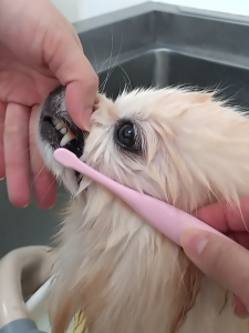 Screenshot_20260406-220704_copy_1134x1512