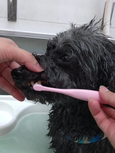 Screenshot_20260406-220829_copy_1140x1521