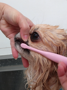 Screenshot_20260409-222033_copy_1171x1561