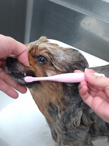 Screenshot_20260410-215731_copy_1151x1535