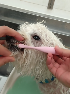 Screenshot_20260413-220903_copy_1144x1525