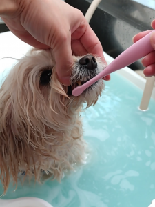 Screenshot_20260417-153507_copy_1123x1498